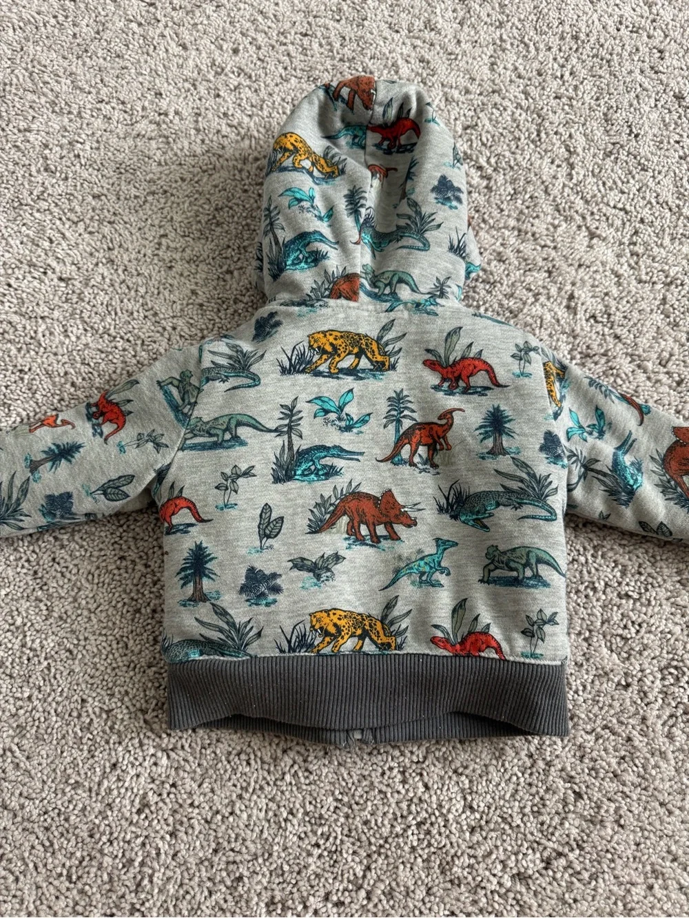 The Children's Place Boy Toddler Long Sleeve Sherpa Lined Hoodie Size 18-24M